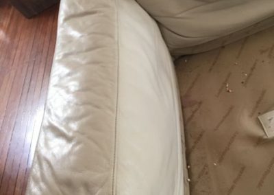 CPR Leather Care_Cleaning5