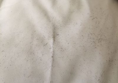 CPR Leather Care_Cracking8
