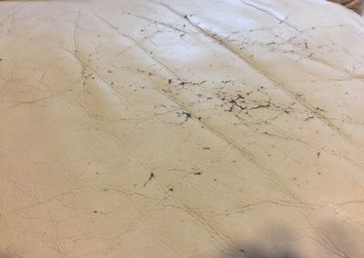CPR Leather Care_Cracking4