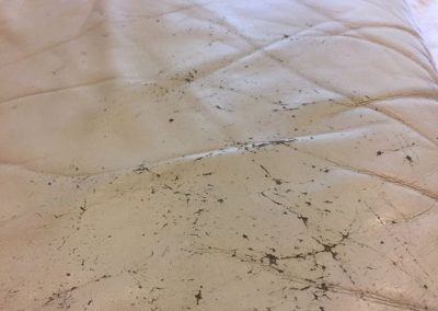 CPR Leather Care_Cracking6