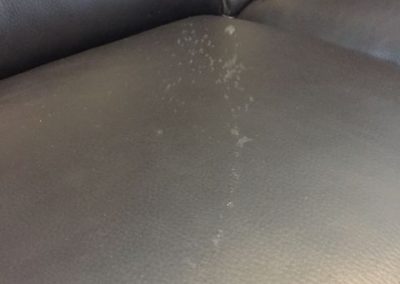 CPR Leather Care_ink removal1