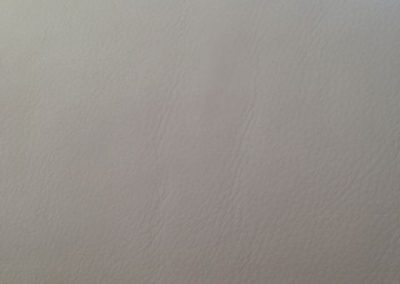 CPR Leather Care_ink removal4