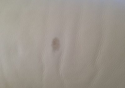 CPR Leather Care_ink removal3